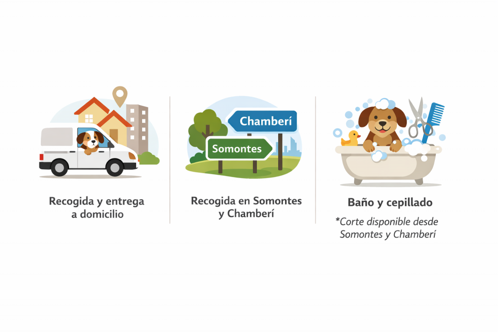 Servicios del hotel canino en Madrid: recogida, entrega, baño y cepillado