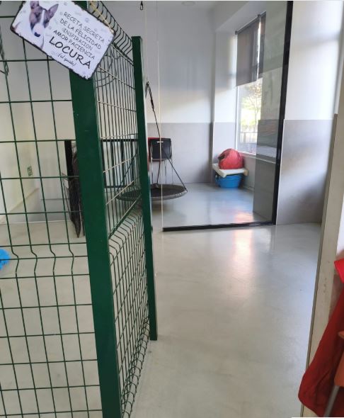 Guardería canina Chamberí en entorno urbano